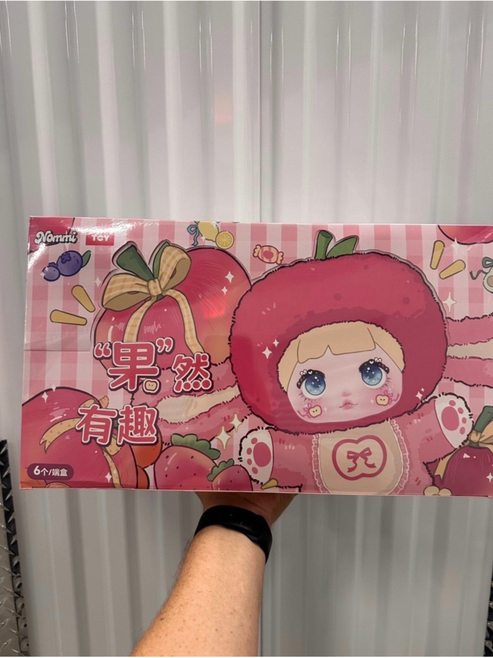 Nommi V3 Fruit Plush Keychain Whole Set - 6 Blind Box Sealed